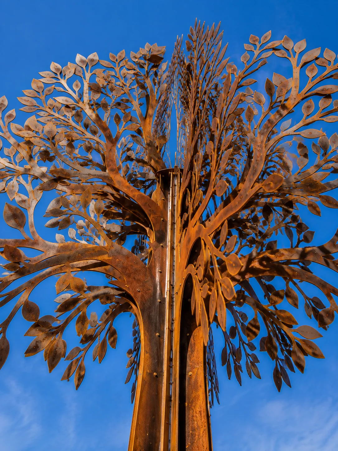 Chioma dell'albero vista dal basso